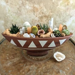 Succulent arrangement in a shallow bowl with crystals and driftwood
