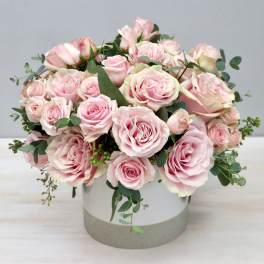 Pink roses arranged in a round white vase with eucalyptus