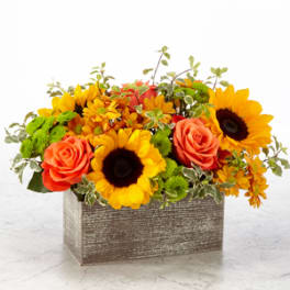 Sunflower and orange rose arrangement in a rectangular wooden box