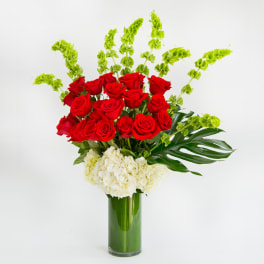 Romance Pure