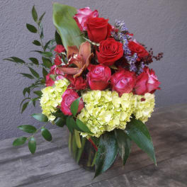 Color and Red