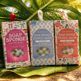 Three boxed soap sponge gift sets arranged on a large green leaf.
