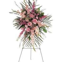 TF198-1 Pink Promise Spray