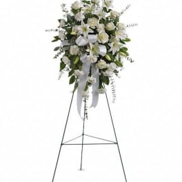 T262-1A Sentiments of Serenity Spray