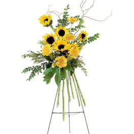 TF189-5 Shining Sentiments Spray