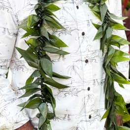Lei - Mele
