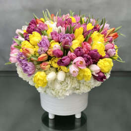 A Place in the Sun - Pasadena Florist