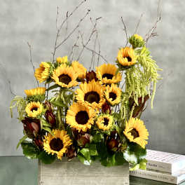 Sunshine Garden - Pasadena Florist