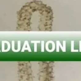 Red and white flower leis displayed with a green banner reading graduation leis