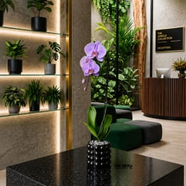 Purple orchid in a black textured pot on a glossy table