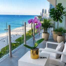 Potted purple orchids on a balcony with ocean and city views