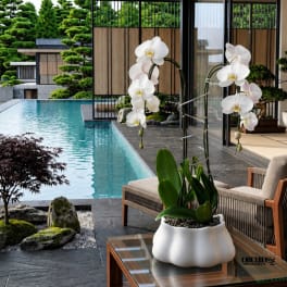 Luxury White Double Swan Cascade Orchid Arrangement