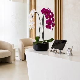 Potted orchid arrangement with white and magenta blooms on a desk