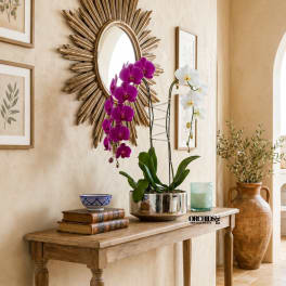 Two orchid plants in a metallic pot on a wooden table