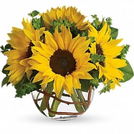 Bouquet of yellow sunflowers in a clear glass vase