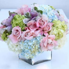 Passionate Pastels