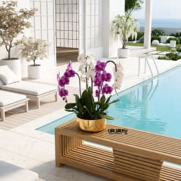 Potted purple and white orchids in a gold container beside a pool