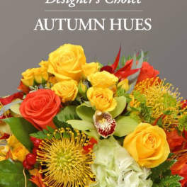 Designer's Choice: Autumn Hues