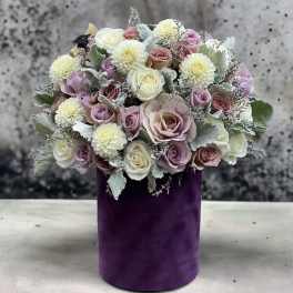 Purple Dreams