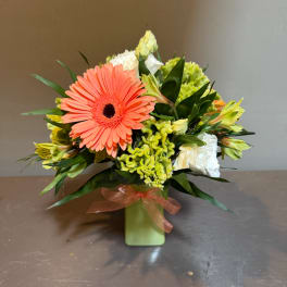 Coral gerbera bouquet with white and green flowers in a green vase