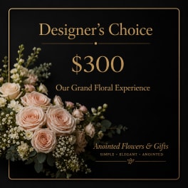 Designers Choice $300