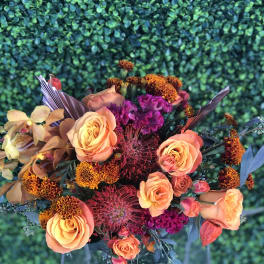 Autumn Vibes