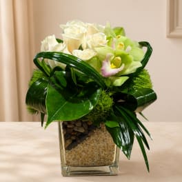 White roses and green orchids in a square glass vase with pebbles