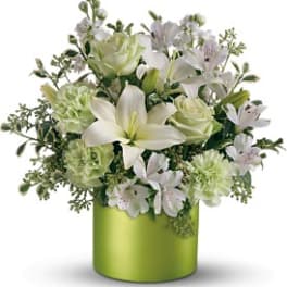 Sea Spray Sage