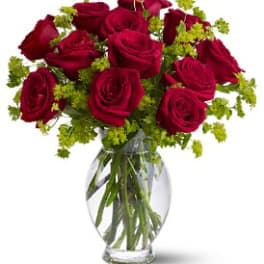 Dozen Adorned Roses