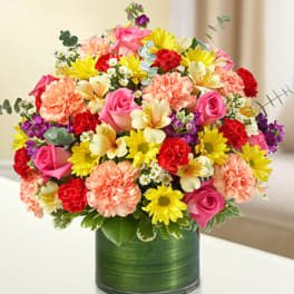 Cherished Memories - Multicolor Bright