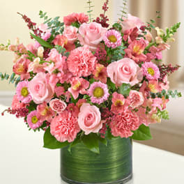 Cherished Memories - All Pink