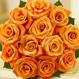 Bouquet of orange roses with a few green leaves
