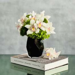 Opulent Orchids