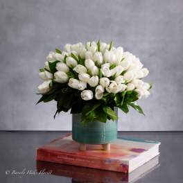 TRANQUIL RENEWAL