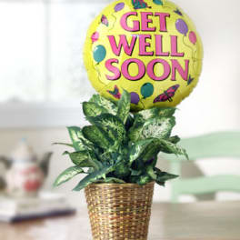 Potted plant with a yellow "Get Well Soon" balloon in a woven basket