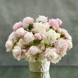 Pure Peony Perfection