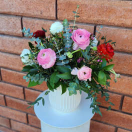 Ranunculus Garden Charm