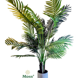 Potted palm plant in a textured gray container