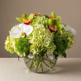 Green hydrangea arrangement with white orchids in a clear glass bowl