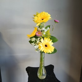 Yellow gerbera daisies and small pink flowers in a clear glass vase