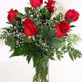 Half Dozen Red Roses