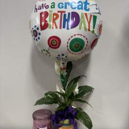 Birthday balloon with a potted peace lily and a candle