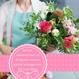 Premium Designer Choice