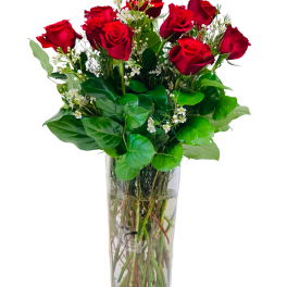 Classical Roses