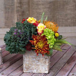 Small Fall Box