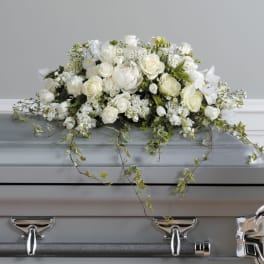All-white casket spray of roses and lilies with trailing ivy on a silver casket