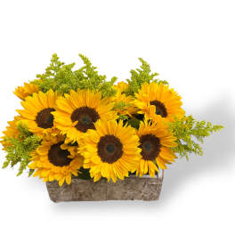 Sunflower arrangement in a rectangular rustic container