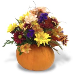 Teleflora's Pretty Pumpkin Bouquet