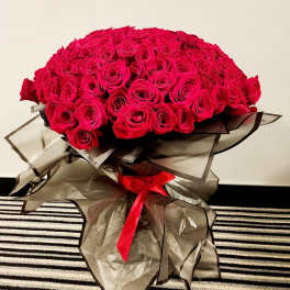 Large bouquet of hot pink roses wrapped in dark translucent paper with a red ribbon