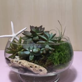 Sea Garden